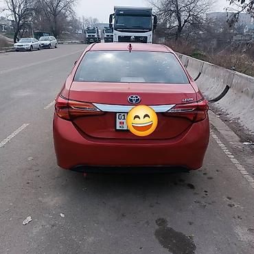 led свет: Toyota Levin: 2018 г., 1.8 л, Вариатор, Гибрид, Седан — 2