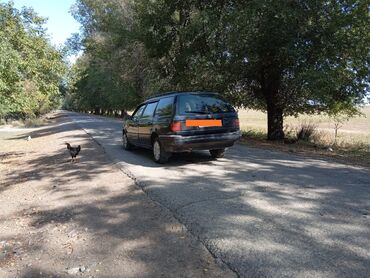 volkswagen 181: Volkswagen Passat: 1992 г., 1.8 л, Механика, Бензин, Универсал