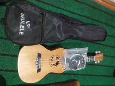 научу играть на гитаре в бишкеке: Чехол в подарок цена . 4500
