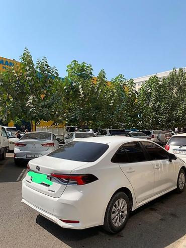 карол: Toyota Corolla: 2019 г., Вариатор, Гибрид, Седан — 4