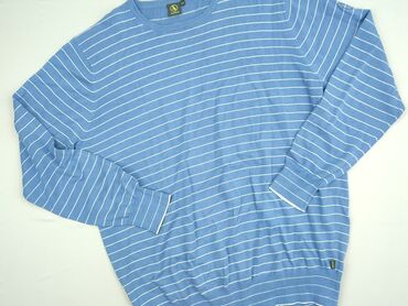 Ubrania męskie: Sweter, 2XL, Aigle, stan - Idealny