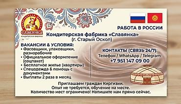 упаковка иш: Талап кылынат Таңгактоочу, Төлөм: Бир айда эки жолу, Тажрыйбасыз — 3