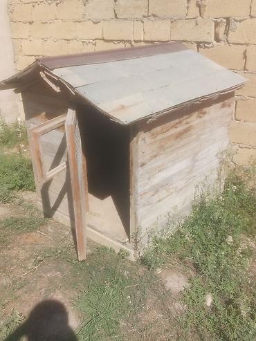 Taxta it evi / dam - Material: qalın taxta karkas, taxta obşivka - lalafo.az -da — 2 Taxta it evi / dam - Material: qalın taxta karkas, taxta obşivka - — 2