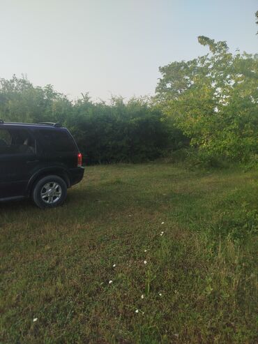 Digər Avtomobillər: Bu qara rəngli Ford Escape modeli SUV avtomobil səyahətlər və gündəlik — 2