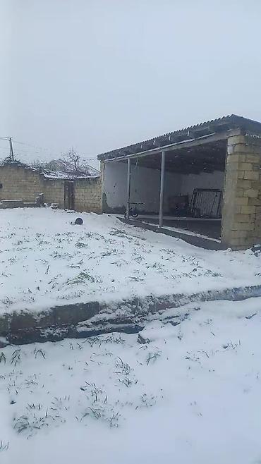 Torpaq sahələrinin satışı: 65 sot, Kənd təsərrüfatı — 4