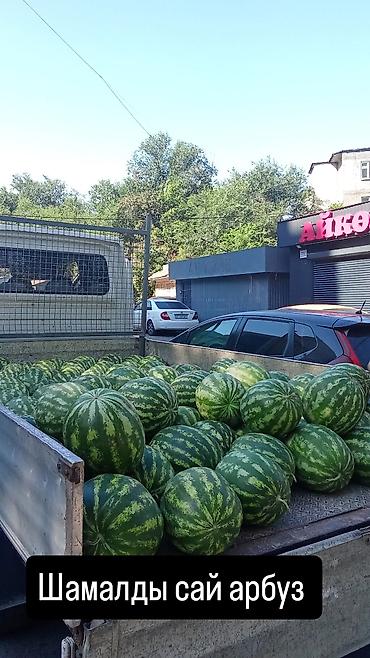 sprinter 2 2: Грузоперевозки по городу (и вне города) также выезжаем в регионы длина — 2