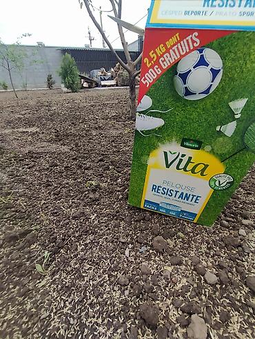 Другие услуги: Озеленение Участков с нуля и под ключ. Автоматические системы полива — 2