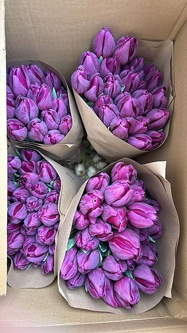 Букеты из живых цветов: Тюльпаны упаковки в крафт-бумаге - Разнообразие окрасов — 8