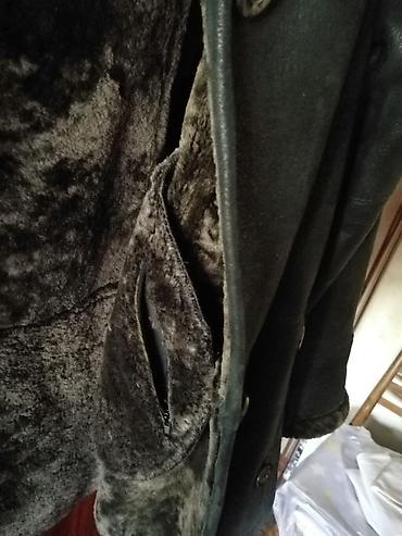 Дубленки: Дубленка, Классическая модель, Германия, L — 5