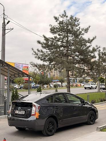 карола гибрид: Toyota Prius: 2013 г., Вариатор, Гибрид, Хэтчбэк — 7