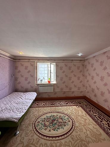 the level: 📍 В Сокулуке в районе церкви ( верхняя зона )от трассы 600 м — 10