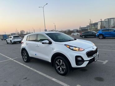 Kia: Kia Sportage: 2019 г., 2.4 л, Автомат, Бензин, Кроссовер