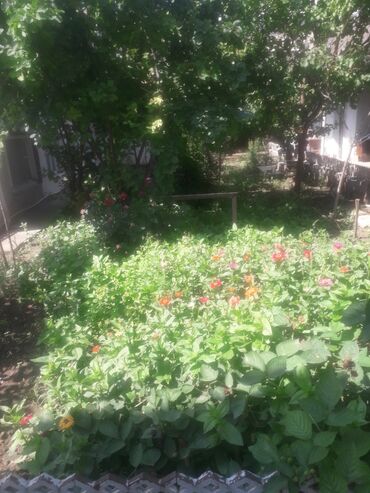 Günlük kirayə evlər: 120 kv. m, 2 otaqlı -da lalafo.az — 12 Günlük kirayə evlər: 120 kv. m, 2 otaqlı — 12