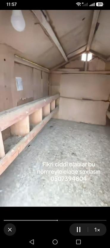beca xoruz: Satılır: Hündür damlı quşxana/kümes - Material: metal profilli karkas — 3