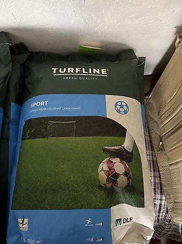 Другие виды семян и саженцев: Семена газона Газон Травка Любой сорт Клевер, спорт, мятлик — 16