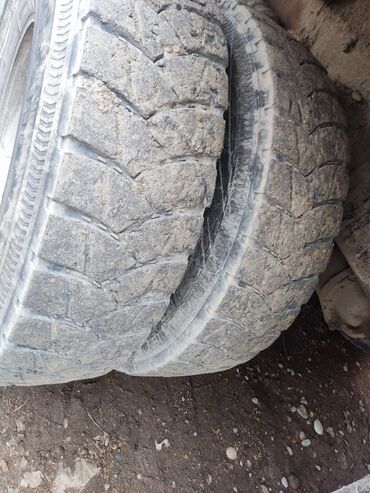 Грузовики: Грузовик, Shacman, Стандарт — 3