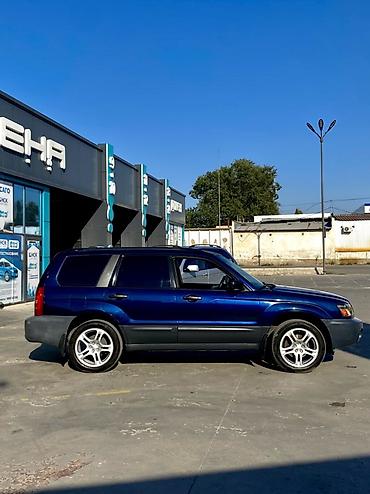 субару бажа: Subaru Forester: 2004 г., 2.5 л, Автомат, Бензин, Универсал — 5