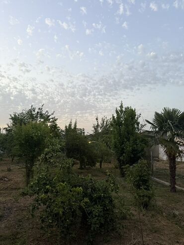 binəqədi həyət evi: 9 sot, Mülkiyyətçi, Kupça (Çıxarış)