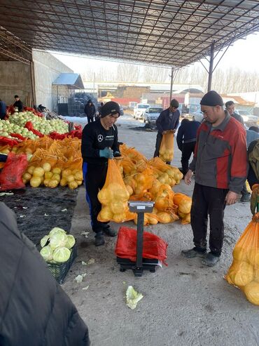 Жашылчалар: Сабиз Дүңүнөн, Акылуу жеткирүү, Өзү алып кетүү, Акысыз жеткирүү