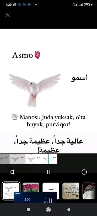 Другой текстиль: Декоративный набор с исламскими мотивами. - Мягкий пушистый — 5