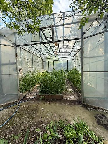 жал кв: 6 соток, Для сельского хозяйства, Договор купли-продажи, Красная книга — 8