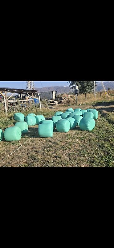 брикет силос: СИЛОС САТЫЛАТ СЕЛО БАЙГЕЛДИ КАЙРЫМА АРЧАЛЫ АЙЫЛДА 9 СОМДОН — 2