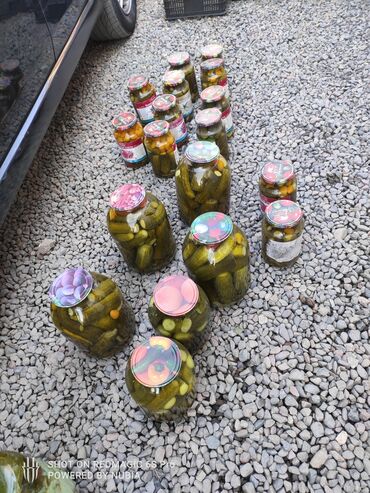 огурцы купить оптом: Огурцы В розницу