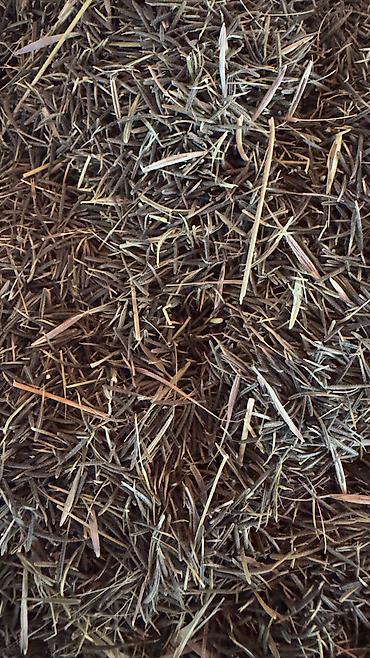 Toxumlar: ✨ 4 Mövsüm ✨ 🌱 Artıq evinizdə və bağçanızda təbii, dərmansız və — 7