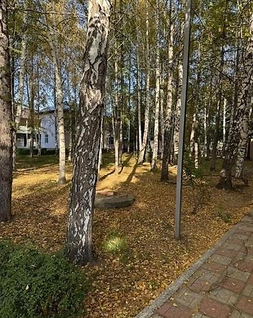 новый дом хай тек: 6 комнат и более, 1300 м², 24 соток, Бостери, Агентство недвижимости — 3