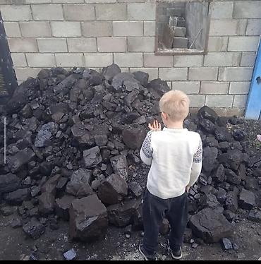 уголь бишкек: Уголь Шабыркуль с доставкой по Бишкеку — 2