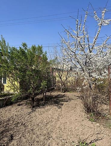 Дома: 🏡 Дом в Бишкеке (ж/м Ак-Орго) ✨ 4 комнаты 📐 Площадь: 120 м² 🌿 — 10