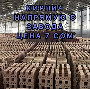 Пустотелый, дырчатый, Жженый кирпич, Полублок, 250×120×90