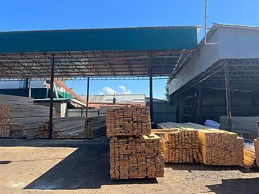 Доски: Лес — 13