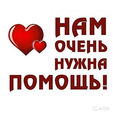 сколько стоит сникерс в бишкеке: Здравствуйте. Обращаемся за помощью к неравнодушным людям. Оказались в — 1