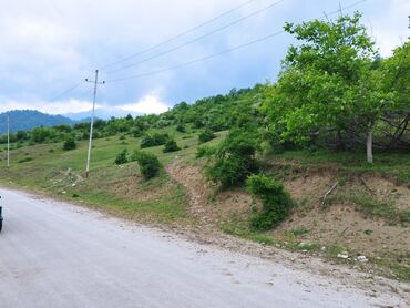 hökməli qobu yolu: 120 sot, Kənd təsərrüfatı, Kupça (Çıxarış)