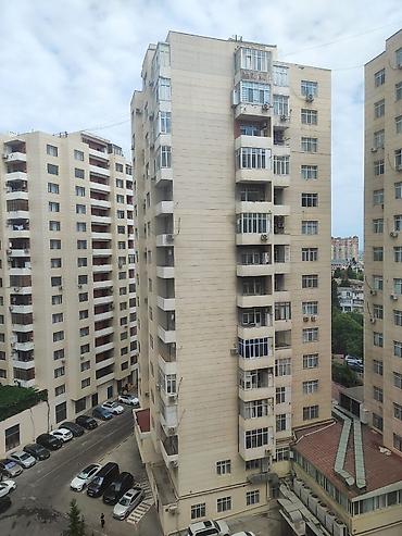 elmler ev: 🏠 İCARƏYƏ VERİLİR | 3 OTAQLI YENİ TİKİLİ 📍 Ünvan: Zahid Xəlilov — 5