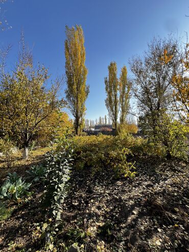 Продажа домов: Дом, 45 м², 2 комнаты, Собственник, Старый ремонт — 18