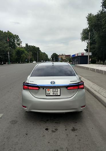 e53 amg: Toyota Corolla: 2020 г. — 5