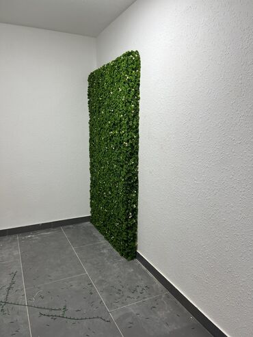 Digər ev dekoru: 6 man baslayan qiymetler — 20