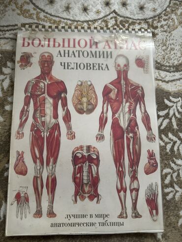 градусник лазерный цена: Продаю анатомический атлас в картинках (вся анатомия в картинках)