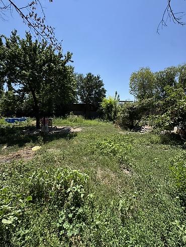 Продажа коттеджей и домов: ‼️‼️‼️‼️СРОЧНО ‼️‼️‼️‼️‼️ 🏡 Продаётся дом в центре села Беловодское! — 4