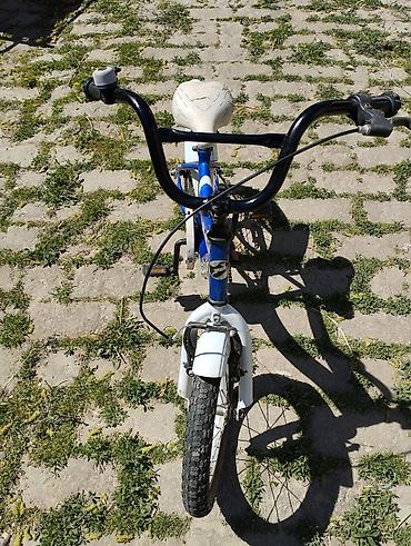 kolica cena: Dečiji bicikl Capriolo Kid 16 - Veličina točkova: 16 inča – pogodno — 1