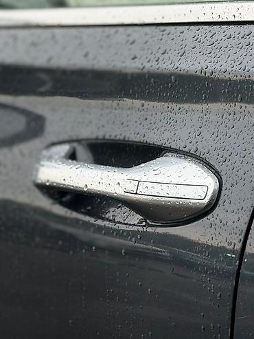 09 машина: Hyundai Palisade: 2020 г., 2.2 л, Автомат, Дизель, Внедорожник — 7