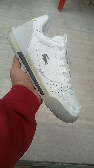 Мужские кроссовки, 41, 42, 43, Lacoste, Новый, Бесплатная доставка