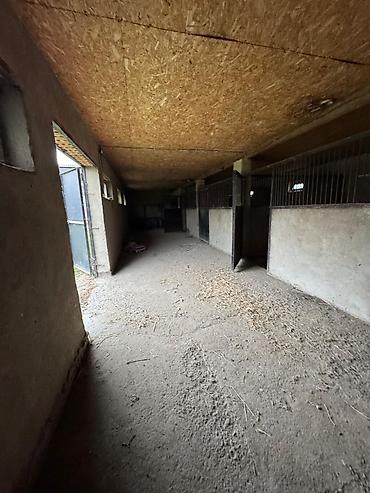 Продажа коттеджей и домов: Заплатите за участок и получите в ПОДАРОК Дом и новый сарай 7×21 из — 11