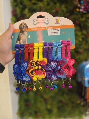 Xaltalar, qayışlar və tasmalar: Pişik və mini itlər üçün boyunbağılar. Taksilə çatdırılma xidmətimiz — 7