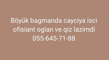 afisant iş elanlari: Ofisiant tələb olunur, Kafe, Gündəlik ödəniş, İstənilən yaş, Təcrübəsiz