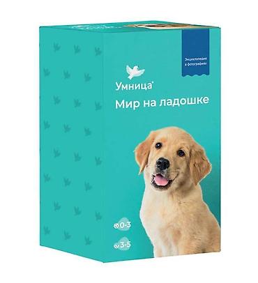 gta 5 kaset: Игровая энциклопедия "в фотографиях — 9