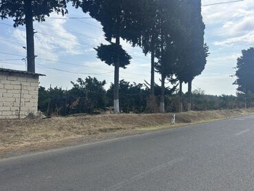 Torpaq sahələrinin satışı: 35 sot, Kənd təsərrüfatı, Mülkiyyətçi, Kupça (Çıxarış) — 6