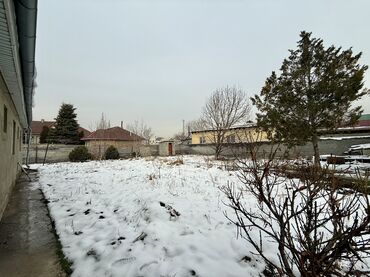 Продажа участков: 8 соток, Для строительства, Красная книга, Тех паспорт, Договор купли-продажи — 4